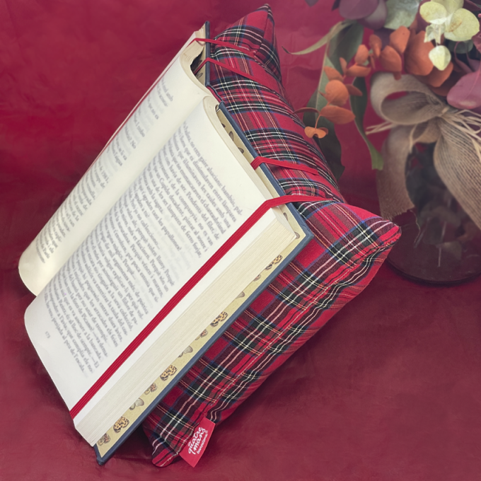 Coixí de lectura red irlanda